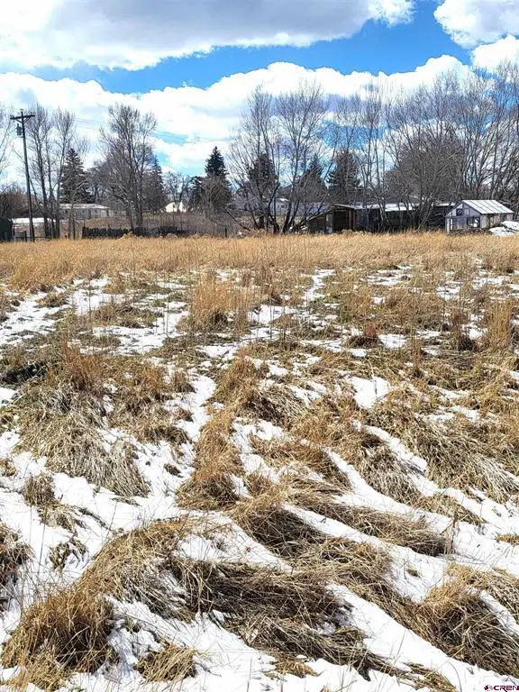 1130 Forest Street, Norwood, CO 81423 - #3