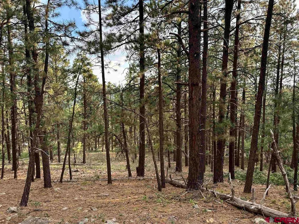 259 Hillside Circle, Bayfield, CO 81122 - #1