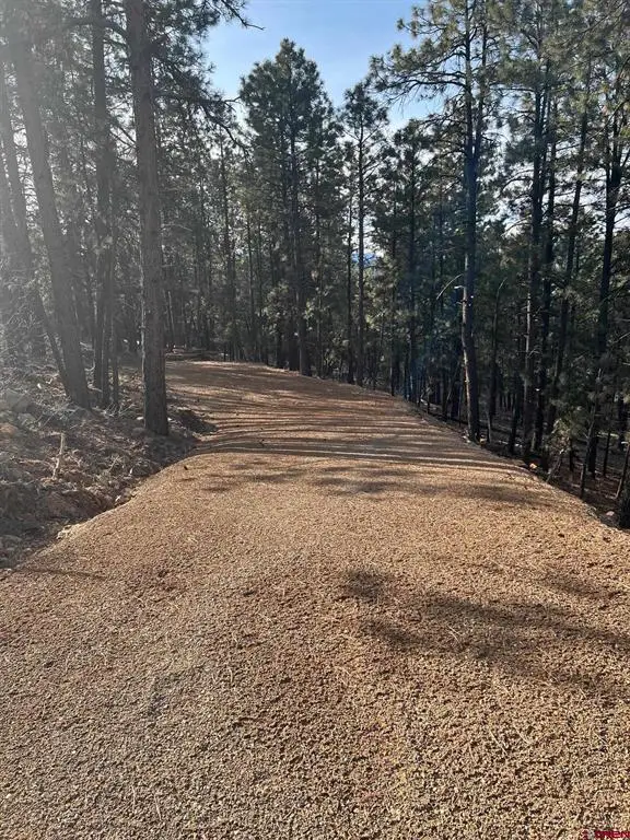 259 Hillside Circle, Bayfield, CO 81122 - #2