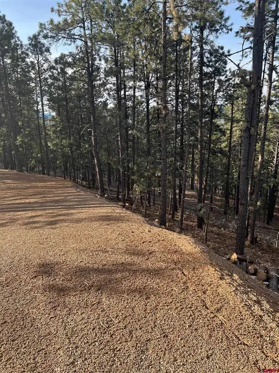 259 Hillside Circle, Bayfield, CO 81122 - #3
