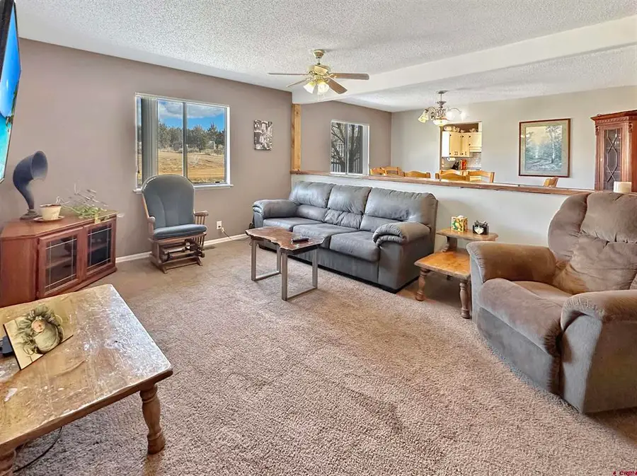 27980 Road T, Dolores, CO 81323 - #3