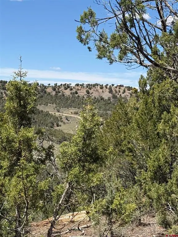 TBD J8 Road, Mancos, CO 81328 - #1