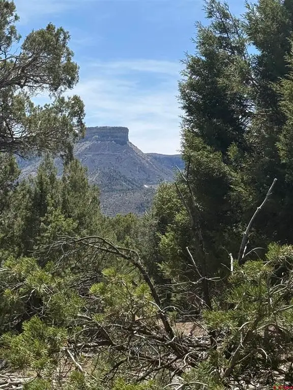 TBD J8 Road, Mancos, CO 81328 - #2