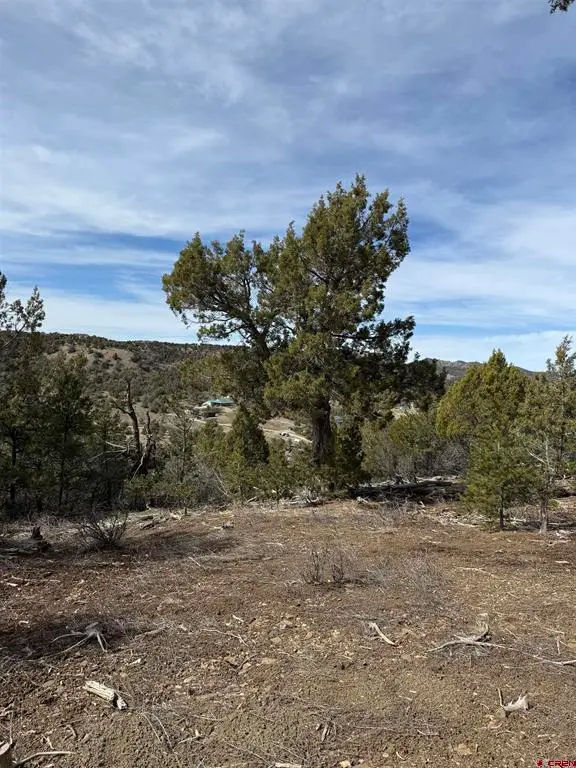 TBD J8 Road, Mancos, CO 81328 - #3