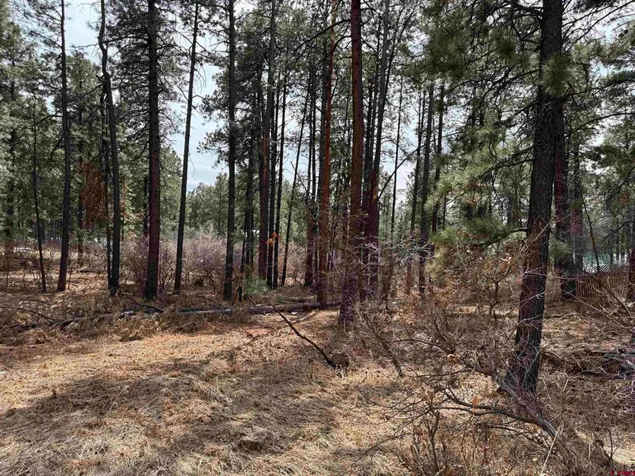 102 E Valley View Drive, Bayfield, CO 81122 - #3