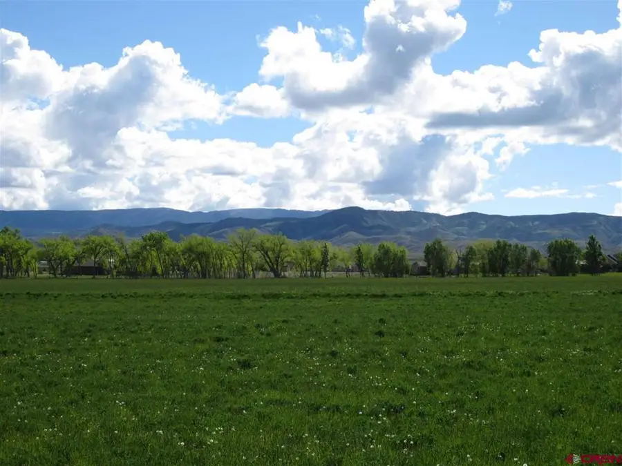 16666 6725, Montrose, CO 81401 - #2