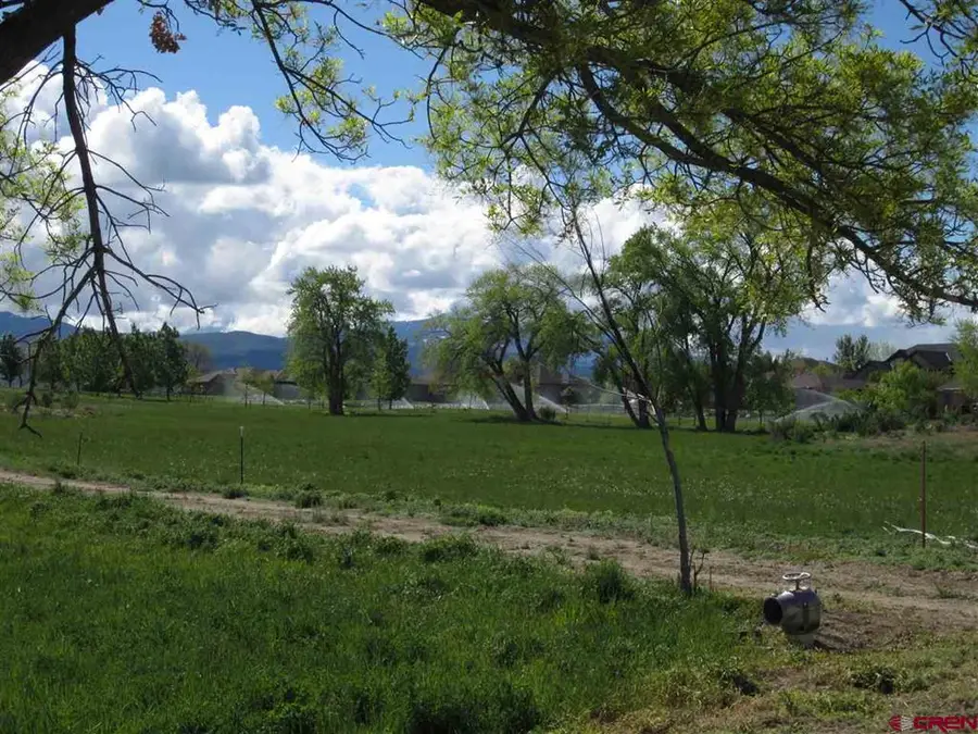 16666 6725, Montrose, CO 81401 - #3