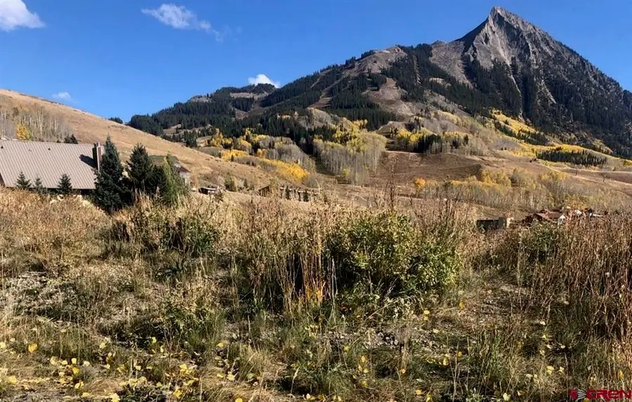 708 Gothic Road, Mount Crested Butte, CO 81225 - #2