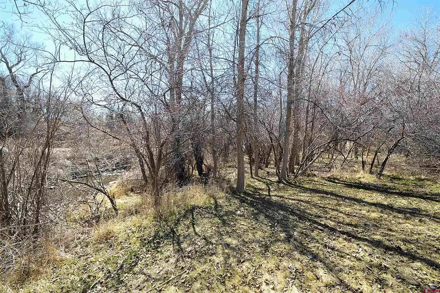 TBD SE 3rd Lot 5 Will-o-way Subdivision Street, Cedaredge, CO 81413 - #3