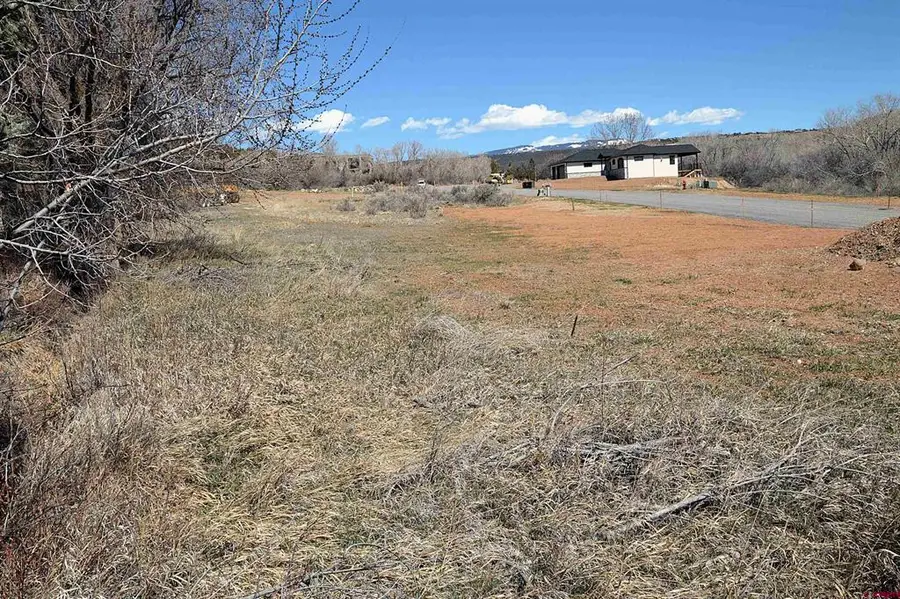 TBD SE 3rd Lot 9 Will-o-way Subdivision Street, Cedaredge, CO 81413 - #2