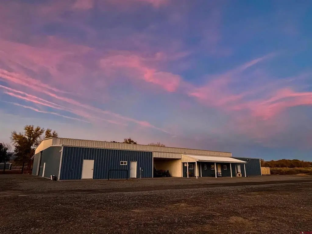11313 Running Deer Road, Eckert, CO 81418 - #1