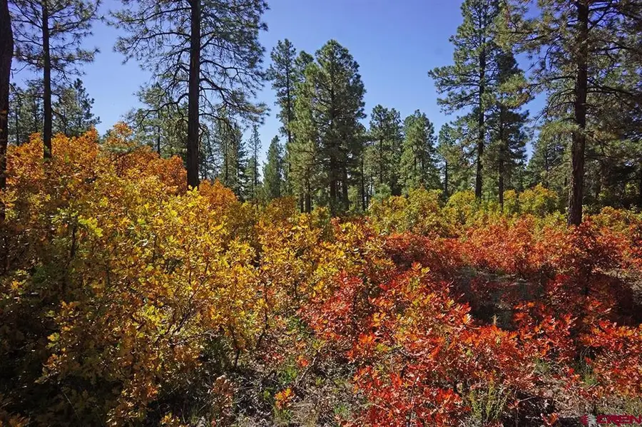 TBD Road 36.5, Mancos, CO 81328 - #2