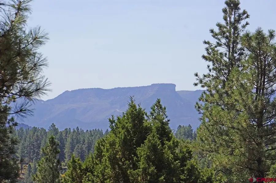 TBD Road 36.5, Mancos, CO 81328 - #3