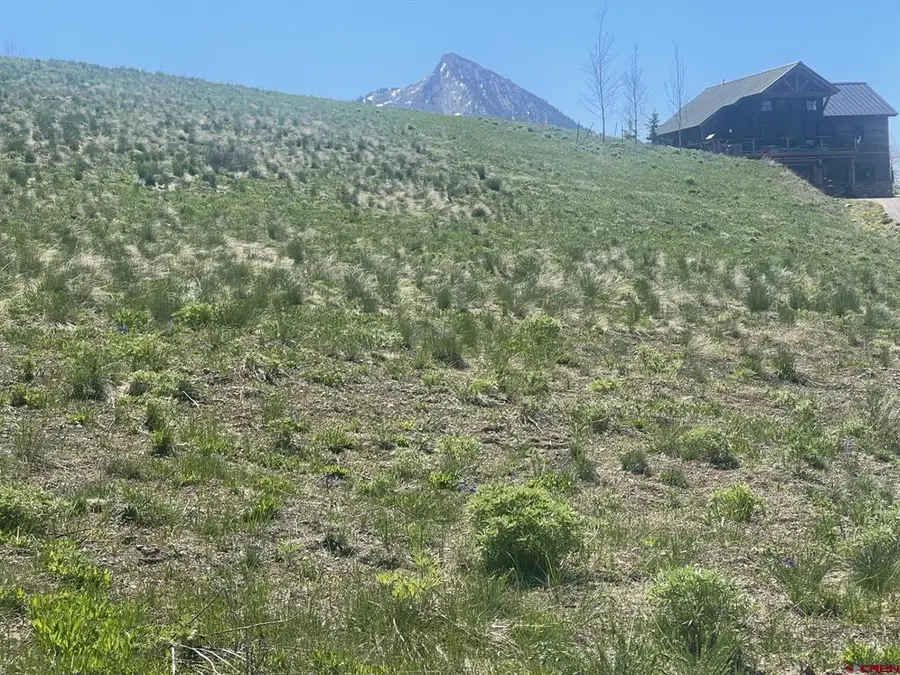 116 Meadow Drive, Crested Butte, CO 81224 - #3
