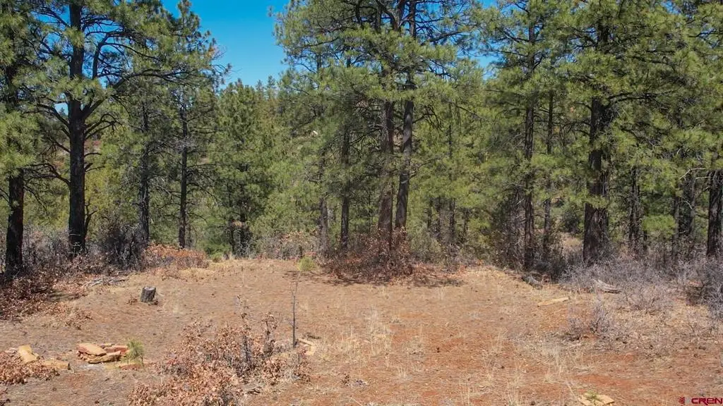 149 Engineer Point, Pagosa Springs, CO 81147 - #1