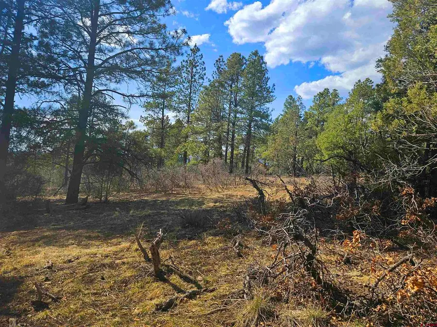 248 Rock Point Place, Pagosa Springs, CO 81147 - #3