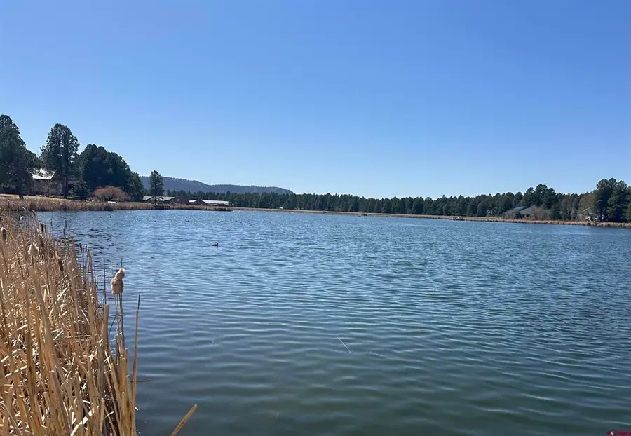 1259 Lakeside Drive, Pagosa Springs, CO 81147 - #3