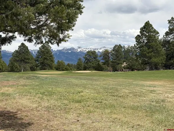 1695 Marmot Drive, Ridgway, CO 81432
