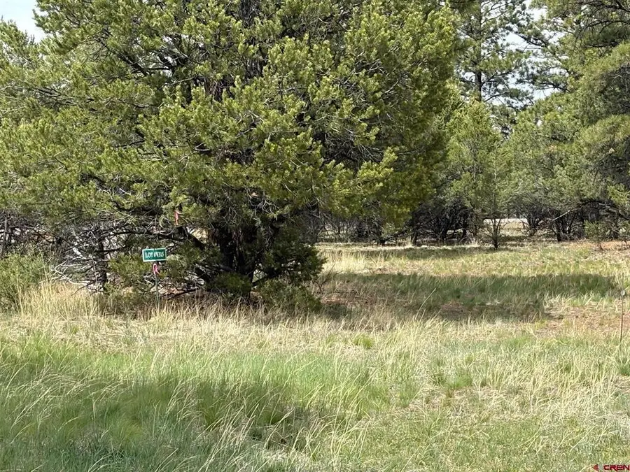 1695 Marmot Drive, Ridgway, CO 81432 - #3