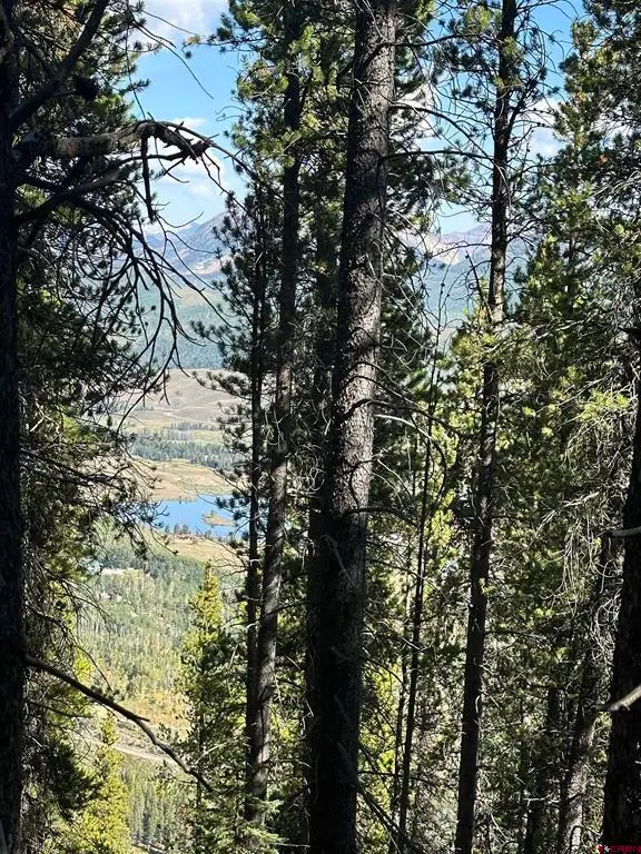 3305 Wildcat Trail, Crested Butte, CO 81224 - #3