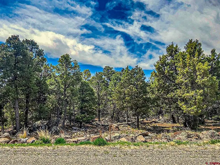 Lot 7 Wild Turkey Lane, Cedaredge, CO 81413 - #2
