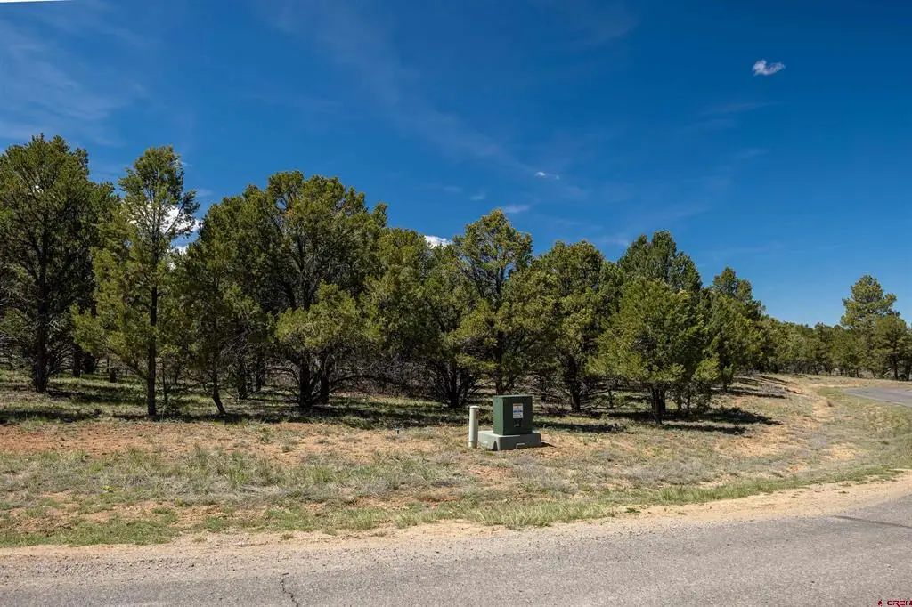 Lot 6 Waterview Court, Ridgway, CO 81432 - #1