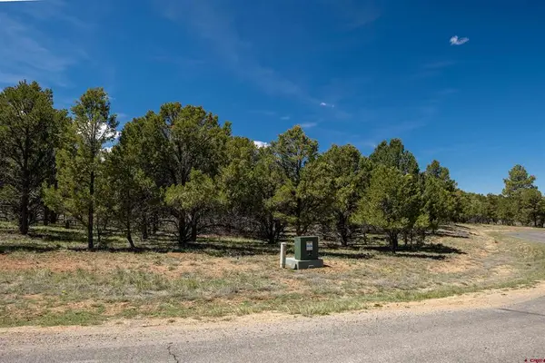 Lot 6 Waterview Court, Ridgway, CO 81432