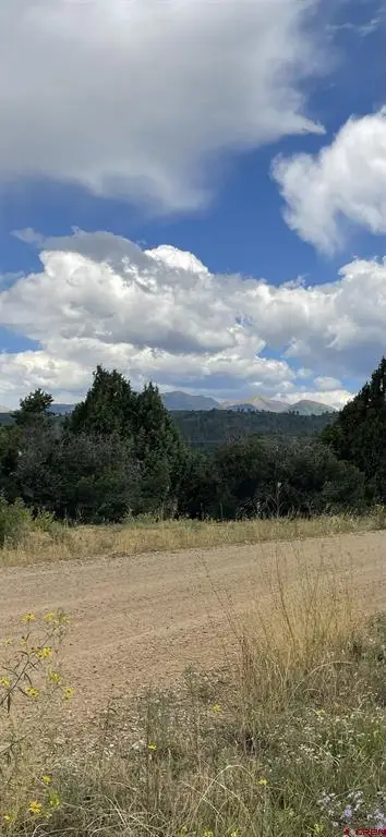 902 Roberts Ridge, Hesperus, CO 81326 - #1