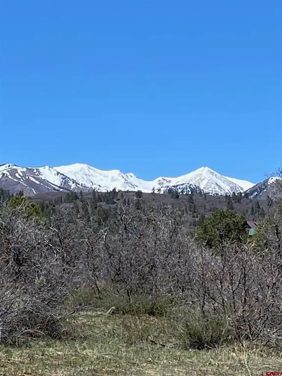 902 Roberts Ridge, Hesperus, CO 81326 - #2