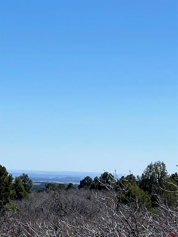 902 Roberts Ridge, Hesperus, CO 81326 - #3