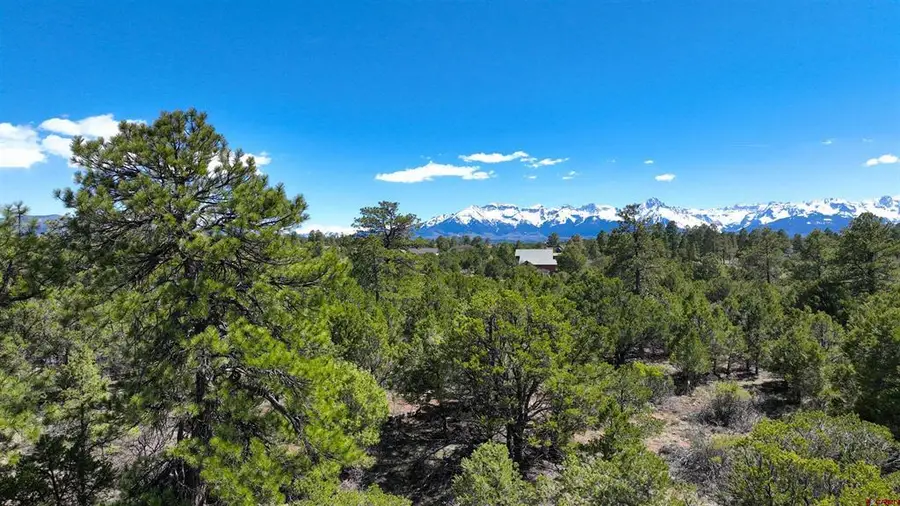 TBD Canyon Drive, Ridgway, CO 81432 - #2