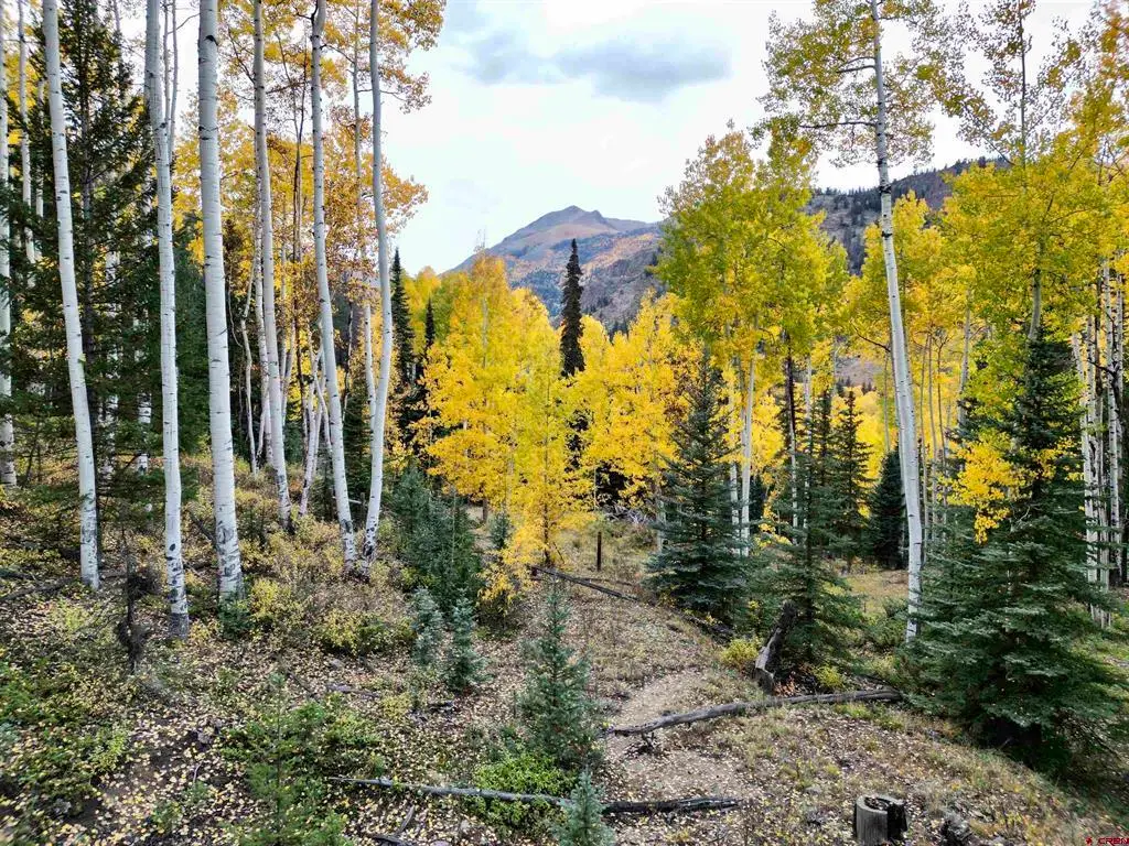 6 Alpine Vista Court, Lake City, CO 81235 - #1