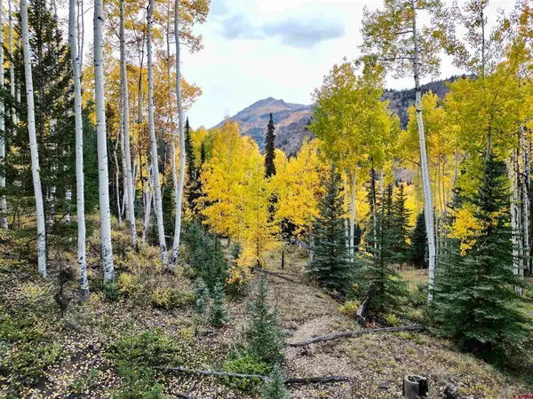 6 Alpine Vista Court, Lake City, CO 81235