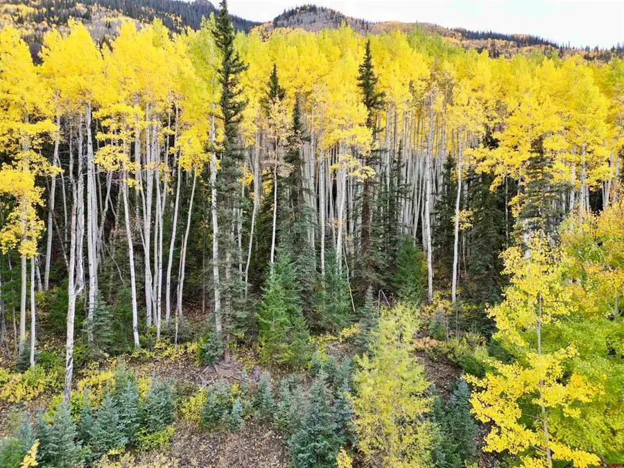 6 Alpine Vista Court, Lake City, CO 81235 - #2