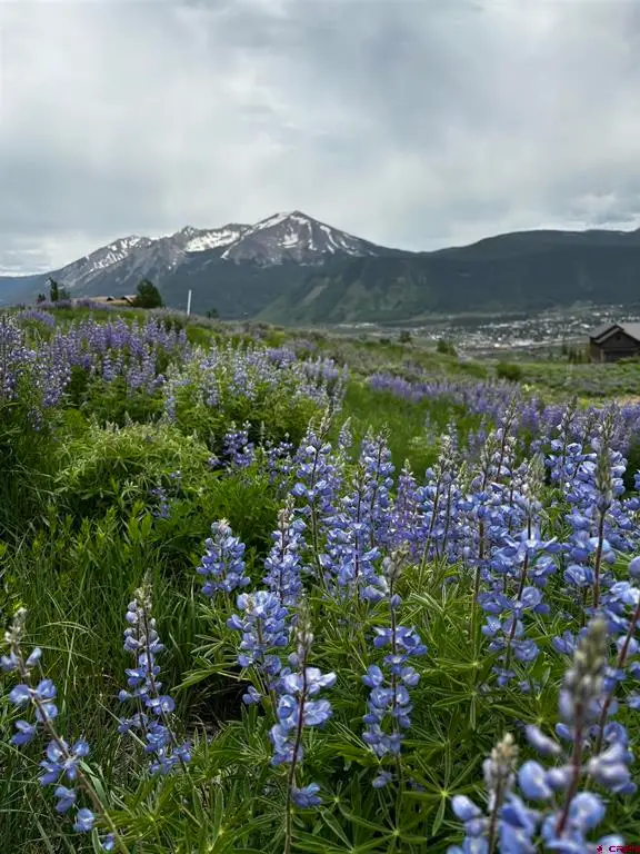 57 Summit Road, Mount Crested Butte, CO 81225 - #1