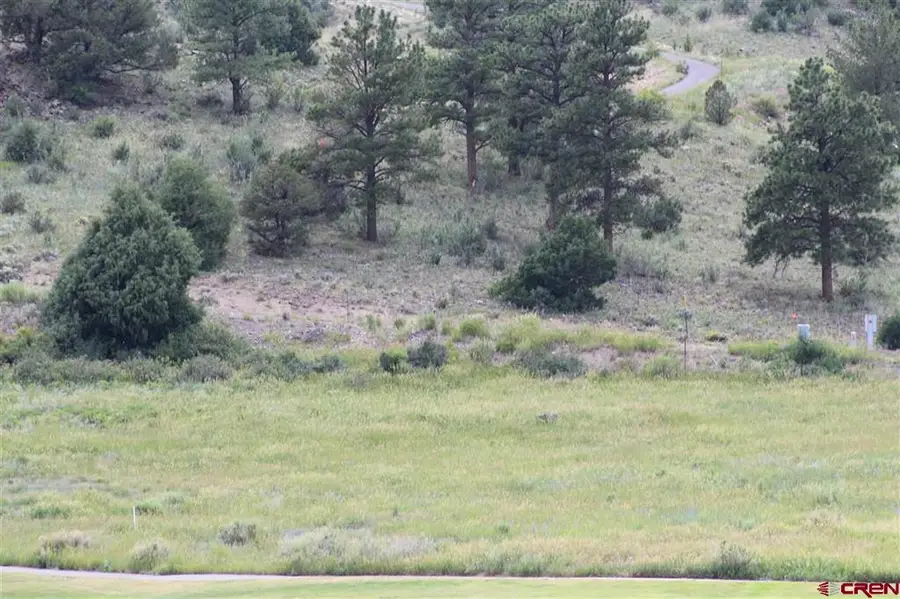 472 Rio Grande Club Trail, South Fork, CO 81154 - #3