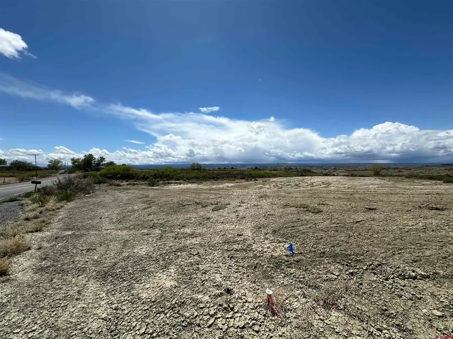 TBD (Lot 3) 6200 Road, Montrose, CO 81401 - #3