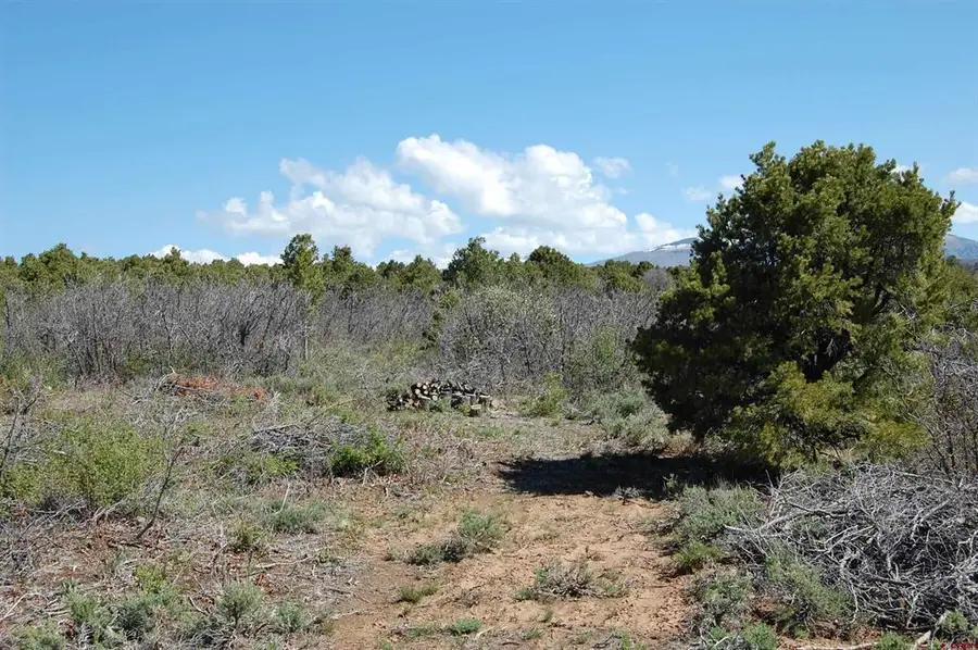 4195 De Oro Way, Hesperus, CO 81326 - #3
