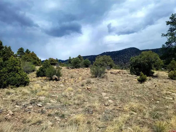 530 Blanca Vista Dr Lot 8, South Fork, CO 81154