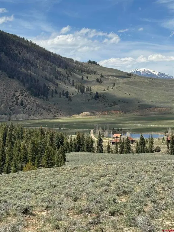 301 Wilder Mountain Road, Almont, CO 81210 - #3
