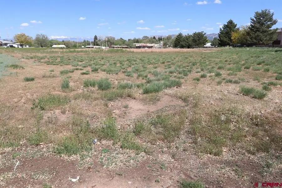 915 S Broadway, Cortez, CO 81321 - #2