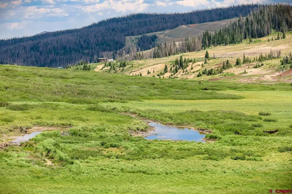 LOT 2 Forest Service Road 330, South Fork, CO 81154 - #1
