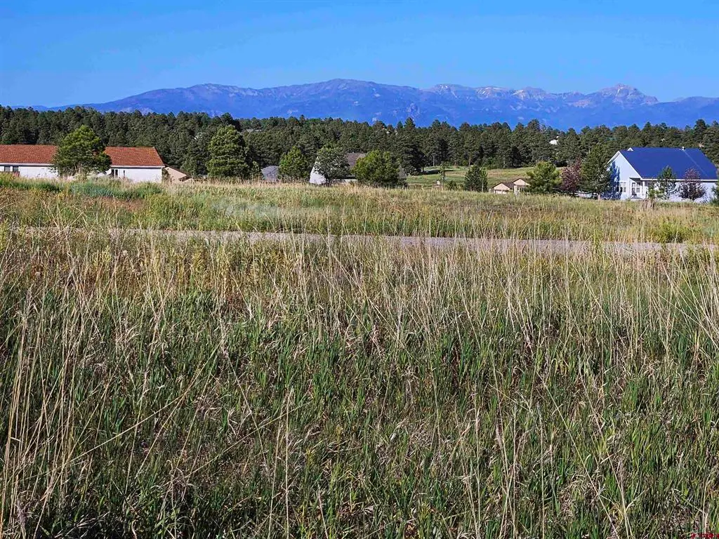 326 Lake Street, Pagosa Springs, CO 81147 - #1