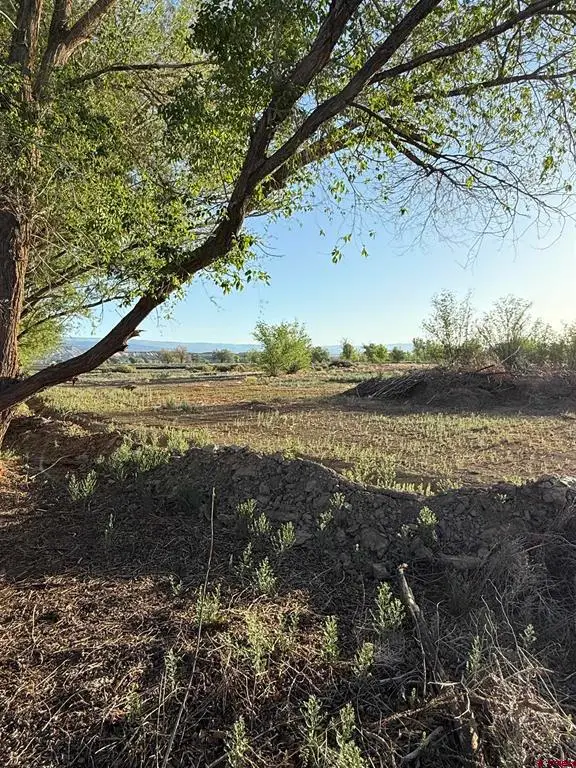 1475 And Tbd Highway 50, Delta, CO 81416 - #1