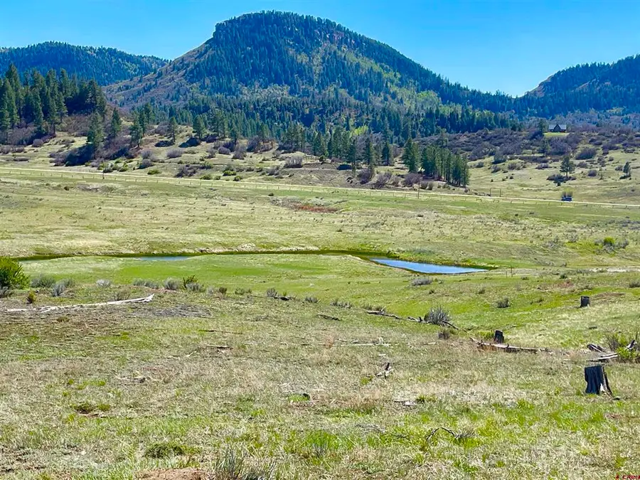 265 Spring Creek Circle, Pagosa Springs, CO 81147 - #2