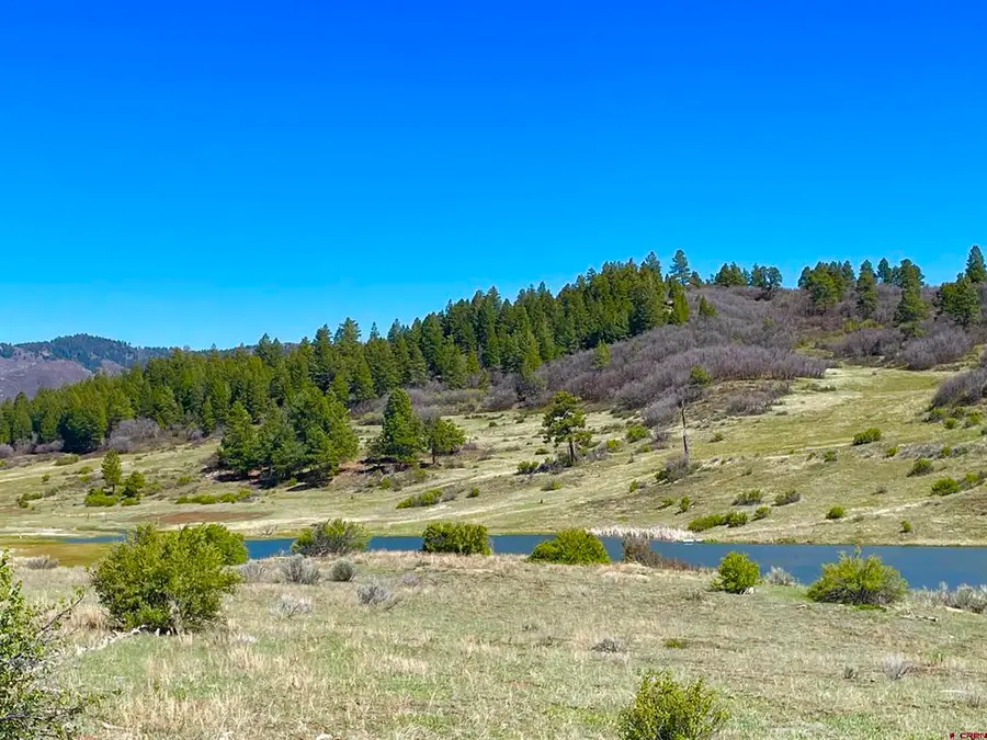 265 Spring Creek Circle, Pagosa Springs, CO 81147 - #3