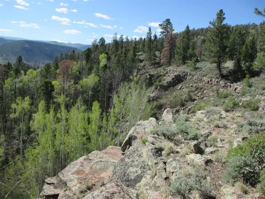 L51/U2 Mosquito Way, Powderhorn, CO 81243 - #1
