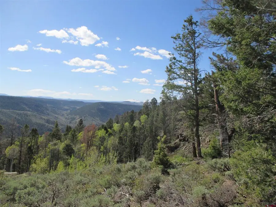 L51/U2 Mosquito Way, Powderhorn, CO 81243 - #2
