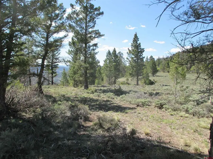 L51/U2 Mosquito Way, Powderhorn, CO 81243 - #3