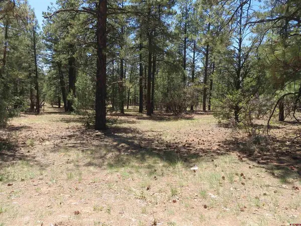 491 Crooked Road, Pagosa Springs, CO 81147